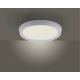 Leuchten Direkt 14217-16 - LED Stmívatelné stropní svítidlo LORENA 1xLED/35W/230V šedá + dálkové ovládání