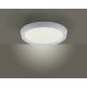Leuchten Direkt 14217-16 - LED Stmívatelné stropní svítidlo LORENA 1xLED/35W/230V šedá + dálkové ovládání