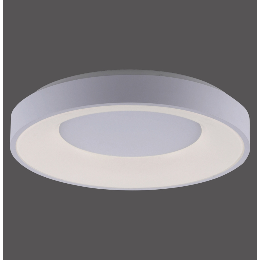 Leuchten Direkt 14326-16 - LED Stmívatelné stropní svítidlo ANIKA LED/30W/230V + dálkové ovládání