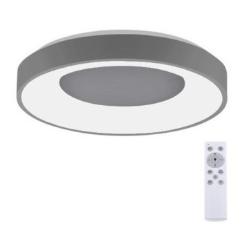 Leuchten Direkt 14326-18 - LED Stmívatelné stropní svítidlo ANIKA LED/30W/230V + dálkové ovládání