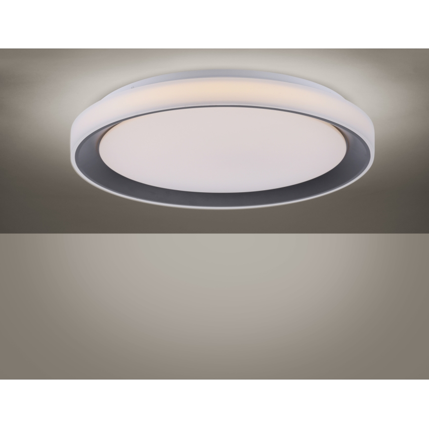 Leuchten Direkt 14659-18 - LED RGB Stmívatelné stropní svítidlo LOLA LED/24W/230V Tuya + dálkové ovládání