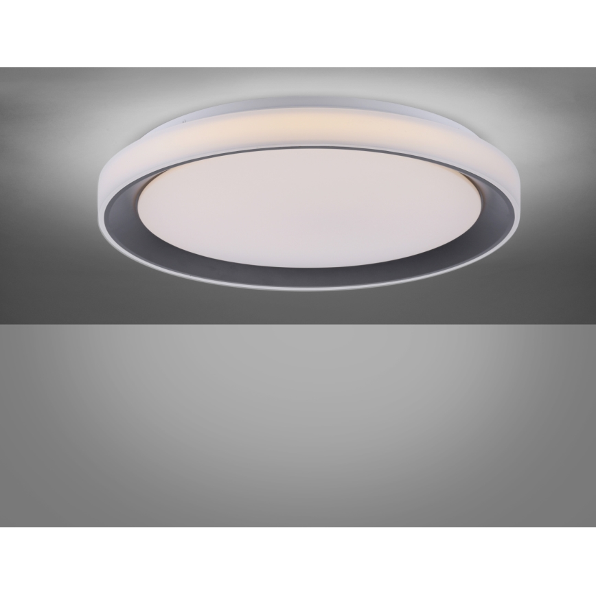 Leuchten Direkt 14659-18 - LED RGB Stmívatelné stropní svítidlo LOLA LED/24W/230V Tuya + dálkové ovládání