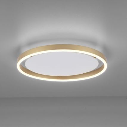 Leuchten Direkt 15391-60 - LED Stmívatelné stropní svítidlo RITUS LED/20W/230V mosaz