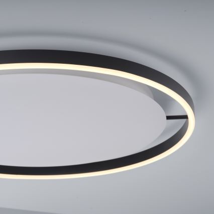 Leuchten Direkt 15392-13 - LED Stmívatelné stropní svítidlo RITUS LED/28W/230V černá