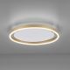 Leuchten Direkt 15392-60 - LED Stmívatelné stropní svítidlo RITUS LED/30W/230V mosaz