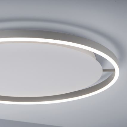 Leuchten Direkt 15392-95 - LED Stmívatelné stropní svítidlo RITUS LED/30W/230V matný chrom