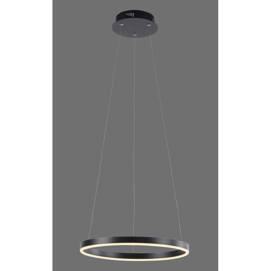 Leuchten Direkt 15393-13 - LED Stmívatelný lustr na lanku RITUS LED/20W/230V černá