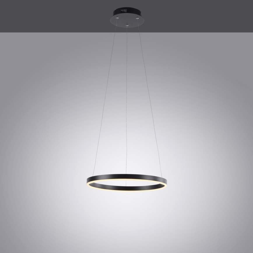 Leuchten Direkt 15393-13 - LED Stmívatelný lustr na lanku RITUS LED/20W/230V černá