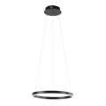 Leuchten Direkt 15393-13 - LED Stmívatelný lustr na lanku RITUS LED/23,5W/230V černá