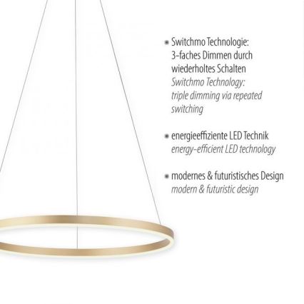 Leuchten Direkt 15394-60 - LED Stmívatelný lustr na lanku RITUS LED/30W/230V mosaz