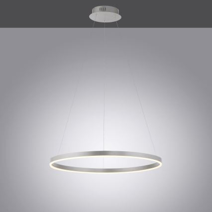 Leuchten Direkt 15394-95 - LED Stmívatelný lustr na lanku RITUS LED/30W/230V matný chrom