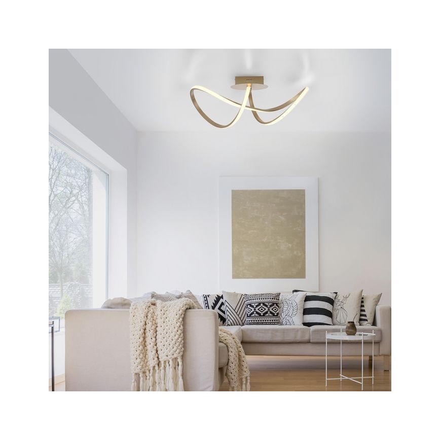 Leuchten Direkt 15403-60 - LED Stmívatelný přisazený lustr MARIA LED/15,5W/230V