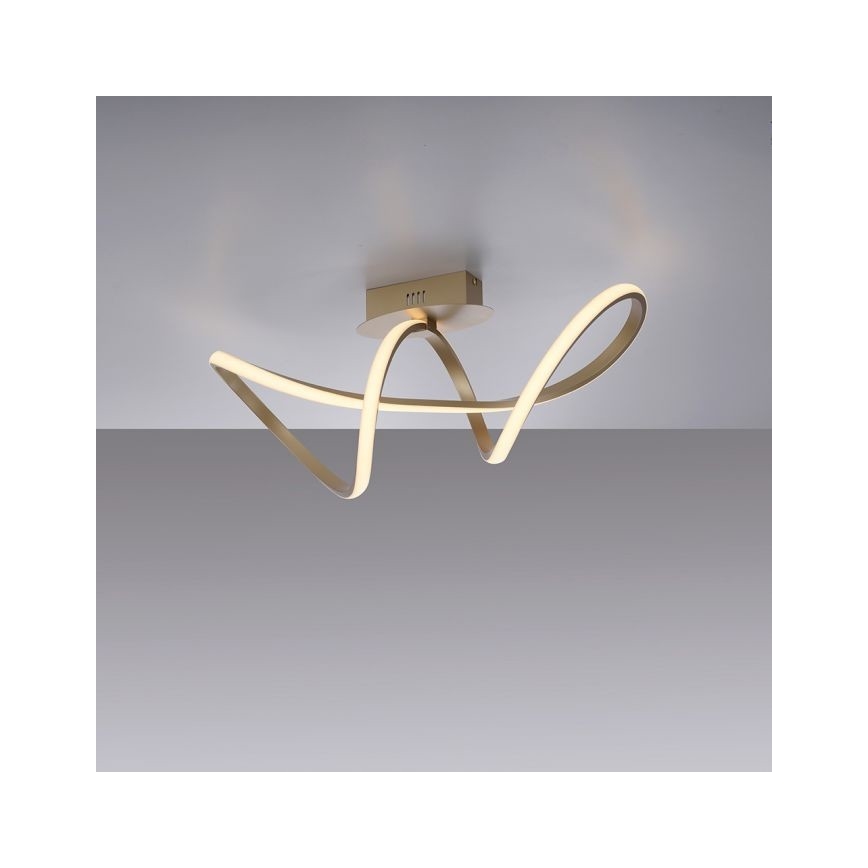 Leuchten Direkt 15403-60 - LED Stmívatelný přisazený lustr MARIA LED/15,5W/230V