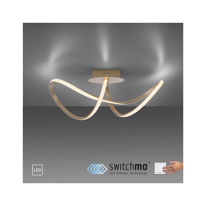 Leuchten Direkt 15403-60 - LED Stmívatelný přisazený lustr MARIA LED/15,5W/230V