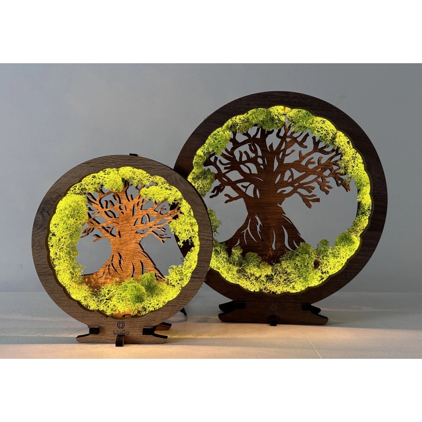 Li-Go 23604/DUB2 - LED Stmívatelná stolní dekorace LED/12W/230V 20x22 cm dub/Mech a strom