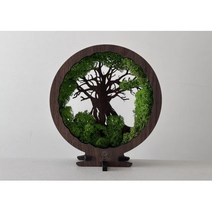 Li-Go 23604/DUB2 - LED Stmívatelná stolní dekorace LED/12W/230V 20x22 cm dub/Mech a strom