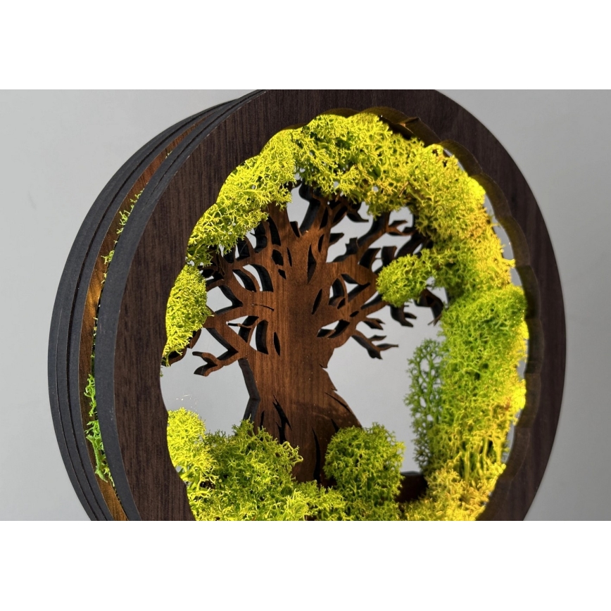 Li-Go 23604/DUB2 - LED Stmívatelná stolní dekorace LED/12W/230V 20x22 cm dub/Mech a strom