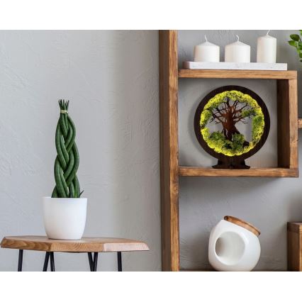 Li-Go 23631/DUB2 - LED Stmívatelná stolní dekorace LED/12W/230V 30x31 cm dub/Mech a strom