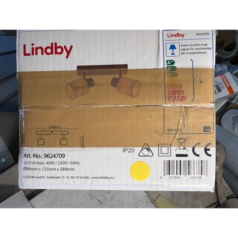 Lindby - Bodové svítidlo WANESSA 2xE14/40W/230V