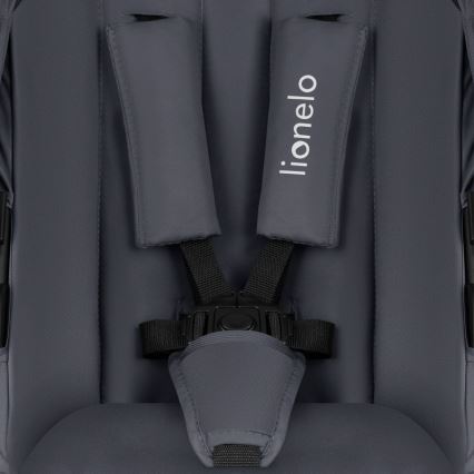 Lionelo - Kombinovaný kočárek 2v1 AMBER PLUS Grey Graphite