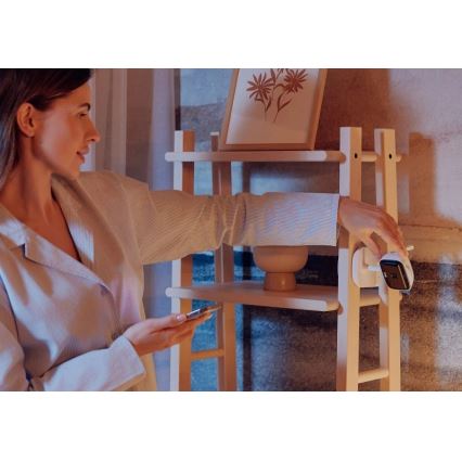 Lionelo - Nabíjecí dětská chůvička BABYLINE GO 5V 3350 mAh