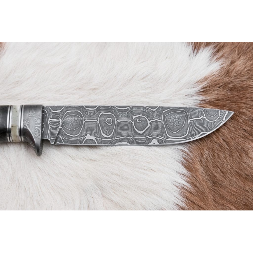 Lovecký damaškový nůž 13,8 cm bříza/velbloudí kost
