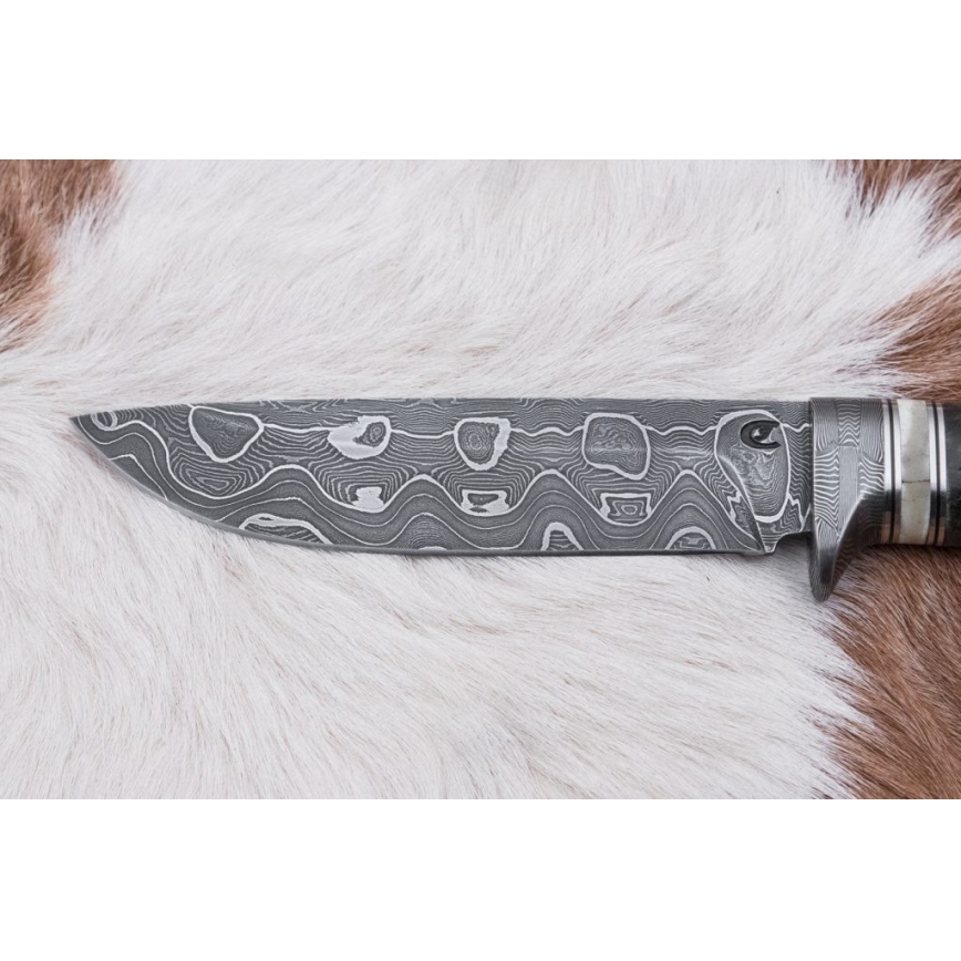 Lovecký damaškový nůž 13,8 cm bříza/velbloudí kost