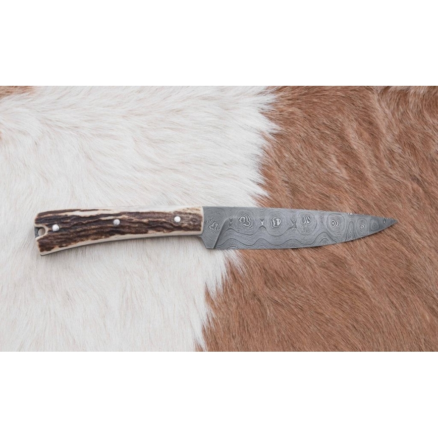 Lovecký damaškový nůž zavazák s pilkou 12 cm jelení paroh