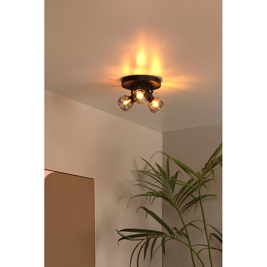 Lucide 00929/13/30 - Bodové svítidlo FILOX 3xE14/40W/230V