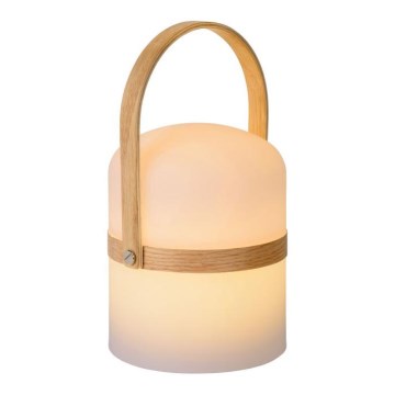 Lucide 06800/03/31 - LED Stmívatelná venkovní lampa JOE LED/3W/230V 680mAh IP44