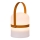 Lucide 06802/01/43 - LED Venkovní stmívatelná lampa LITTLE JOE LED/0,3W/3,7V USB IP44 680 mAh oranžová