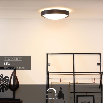 Lucide 08109/02/30 - Stropní svítidlo LEX 2xE27/9W/230V černá