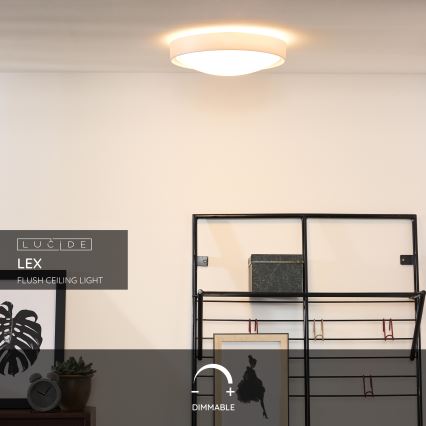 Lucide 08109/02/31 - Stropní svítidlo LEX 2xE27/9W/230V bílá