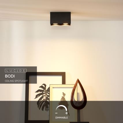 Lucide 09101/02/30 - Bodové svítidlo BODI 2xGU10/50W/230V