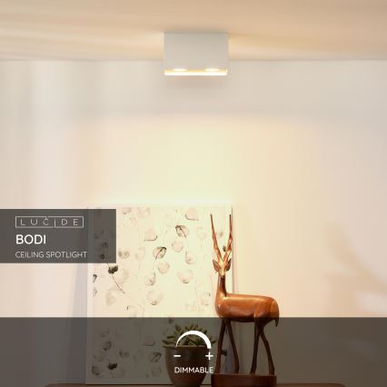 Lucide 09101/02/31 - Bodové svítidlo BODI 2xGU10/50W/230V