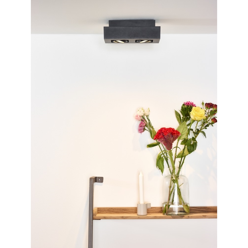 Lucide 09119/11/30 - LED Stmívatelné bodové svítidlo XIRAX 2xGU10/5W/230V