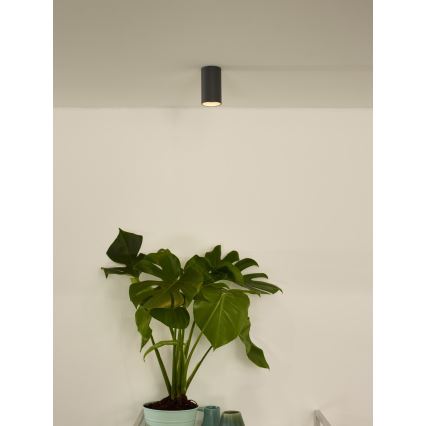 Lucide 09915/06/36 - LED Stmívatelné bodové svítidlo DELTO 1xGU10/5W/230V šedá