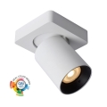 Lucide 09929/05/31 - LED Stmívatelné bodové svítidlo NIGEL 1xGU10/5W/230V bílá CRI 95
