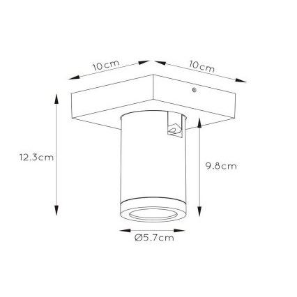 Lucide 09930/05/31 - LED Stmívatelné bodové svítidlo TAYLOR 1xGU10/5W/230V IP44