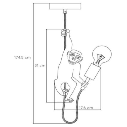 Lucide 10402/01/30 - Lustr na lanku EXTRAVAGANZA CHIMP 1xE27/60W/230V