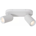 Lucide 13958/02/31 - Bodové svítidlo PUNCH 2xGU10/35W/230V bílá