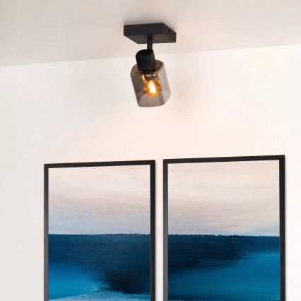 Lucide 17999/01/30 - Bodové svítidlo ALION 1xE14/25W/230V