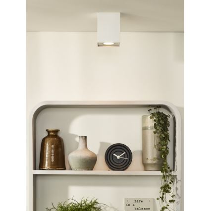 Lucide 22953/01/31 - Bodové svítidlo TUBE 1xGU10/42W/230V