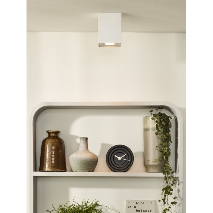 Lucide 22953/01/31 - Bodové svítidlo TUBE 1xGU10/42W/230V