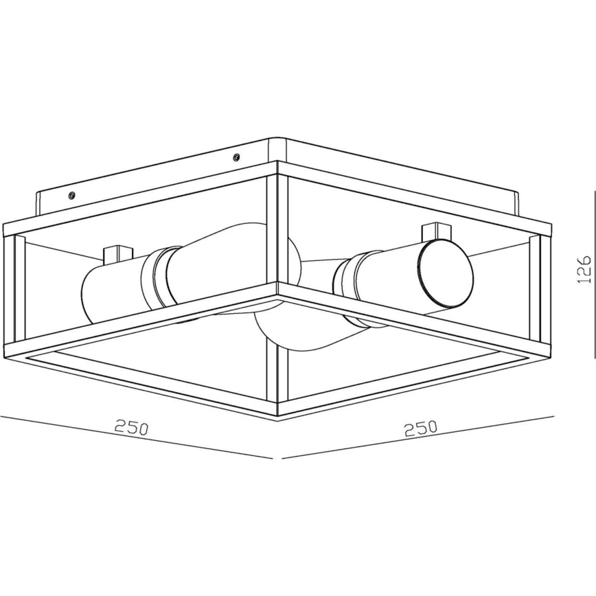 Lucide 27100/02/30 - Koupelnové stropní svítidlo CARLYN 2xE14/6W/230V IP54 černá