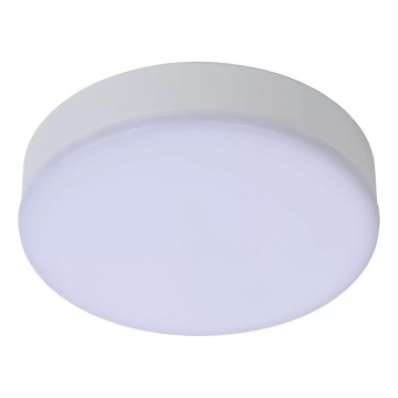 Lucide 28112/30/31 - LED Stmívatelné koupelnové svítidlo 2v1 CERES 30W/230V IP44 bílá