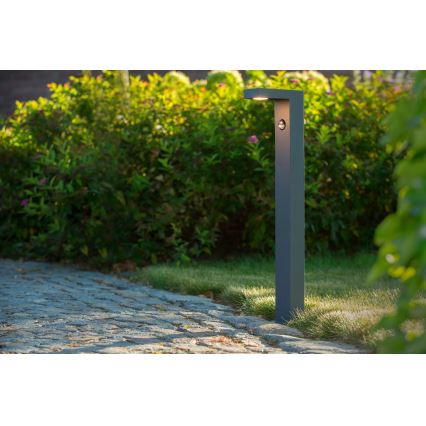 Lucide 28851/61/30 - LED venkovní lampa se senzorem TEXAS-IR LED/6W/230V IP54