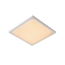 Lucide 28858/25/31 - LED koupelnové svítidlo ORAS LED/20W/230V bílé IP54