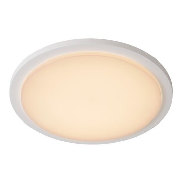 Lucide 28859/30/31 - LED koupelnové svítidlo ORAS LED/20W/230V bílé IP54