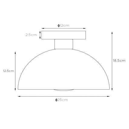 Lucide 45196/01/30 - Stropní svítidlo SIEMON 1xE27/40W/230V černá